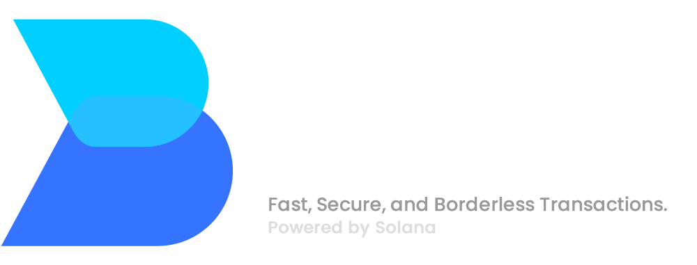 dbirr logo